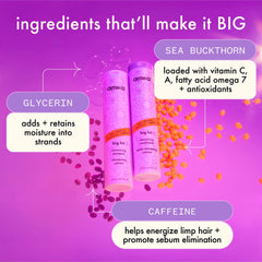 big hit volumizing conditioner - 9.2 oz / 275 ml