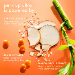 perk up ultra oil control dry shampoo (perk up ultra) - 9.5 oz / 365 ml