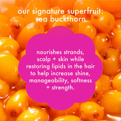 super-sized hydration set hydro rush intense moisture shampoo + conditioner + dream routine overnight treatment